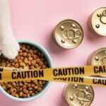 Retiran comida para gatos que podría enfermar a tu mascota